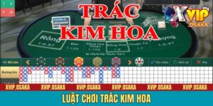 Chỉ Dẫn Luật Chơi Trác Kim Hoa Đơn Giản, Dễ Hiểu Cho Newbie