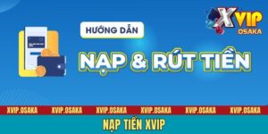 Nạp Tiền XVIP - 3 Bước Đơn Giản, Nhanh, Gọn, Lẹ Cho Tân Binh